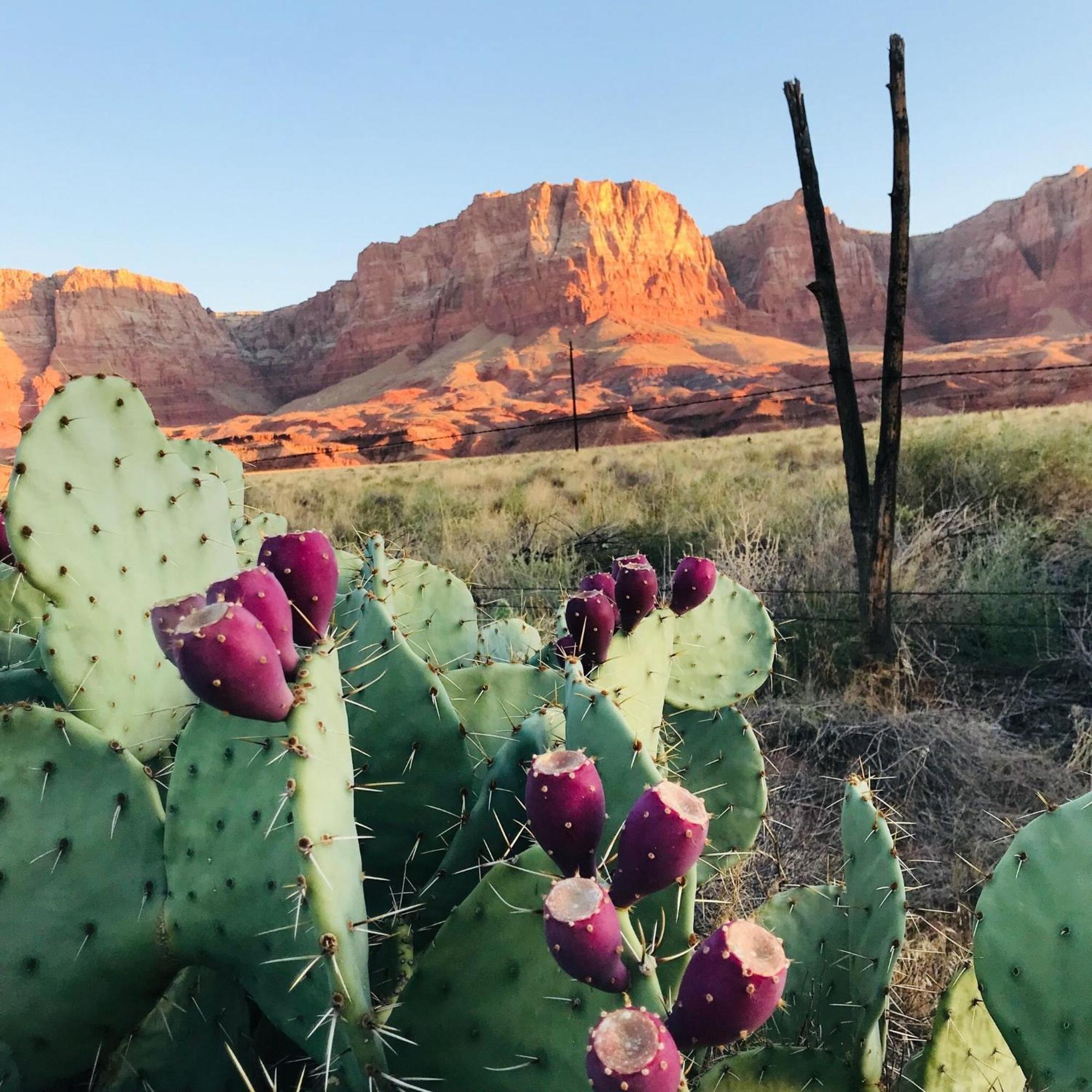 Inn Lee's Ferry At Vermilion Cliffs Marble Canyon